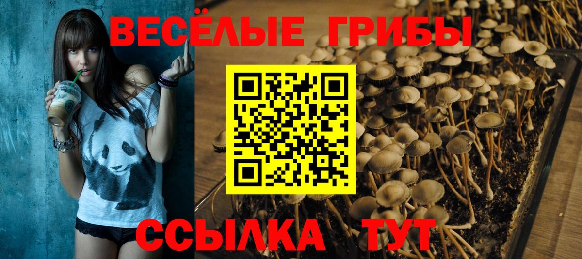 Псилоцибиновые грибы Magic Shrooms Зима