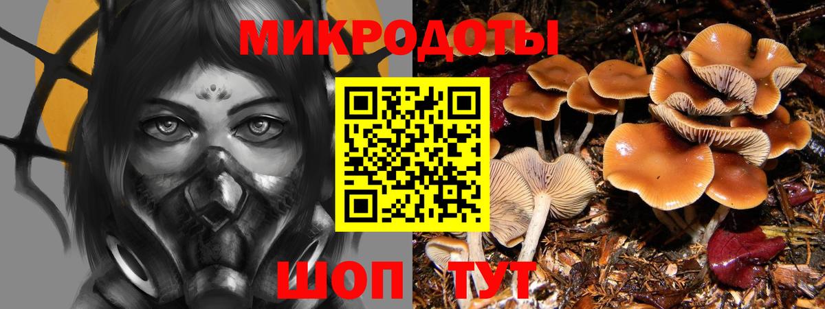 закладки  Вход с VPN  Галлюциногенные грибы мицелий  Зима  Галлюциногенные грибы Psilocybine cubensis 